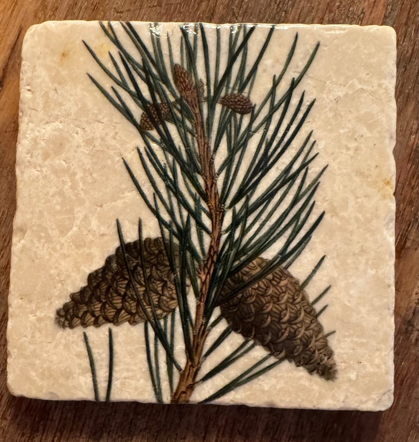 Stone Coasters - Tiny Works of Art from The Painted Lily - Perrymans Books & Gifts
