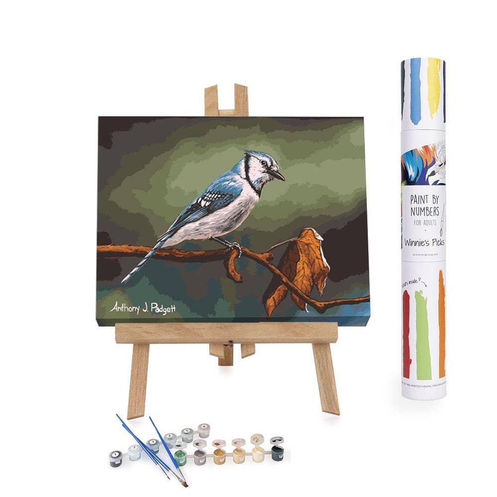 Winnie's Picks - Blue Jay Perched in Autumn Paint - by - Numbers - Perrymans Books & Gifts