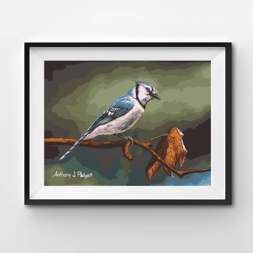 Winnie's Picks - Blue Jay Perched in Autumn Paint - by - Numbers - Perrymans Books & Gifts