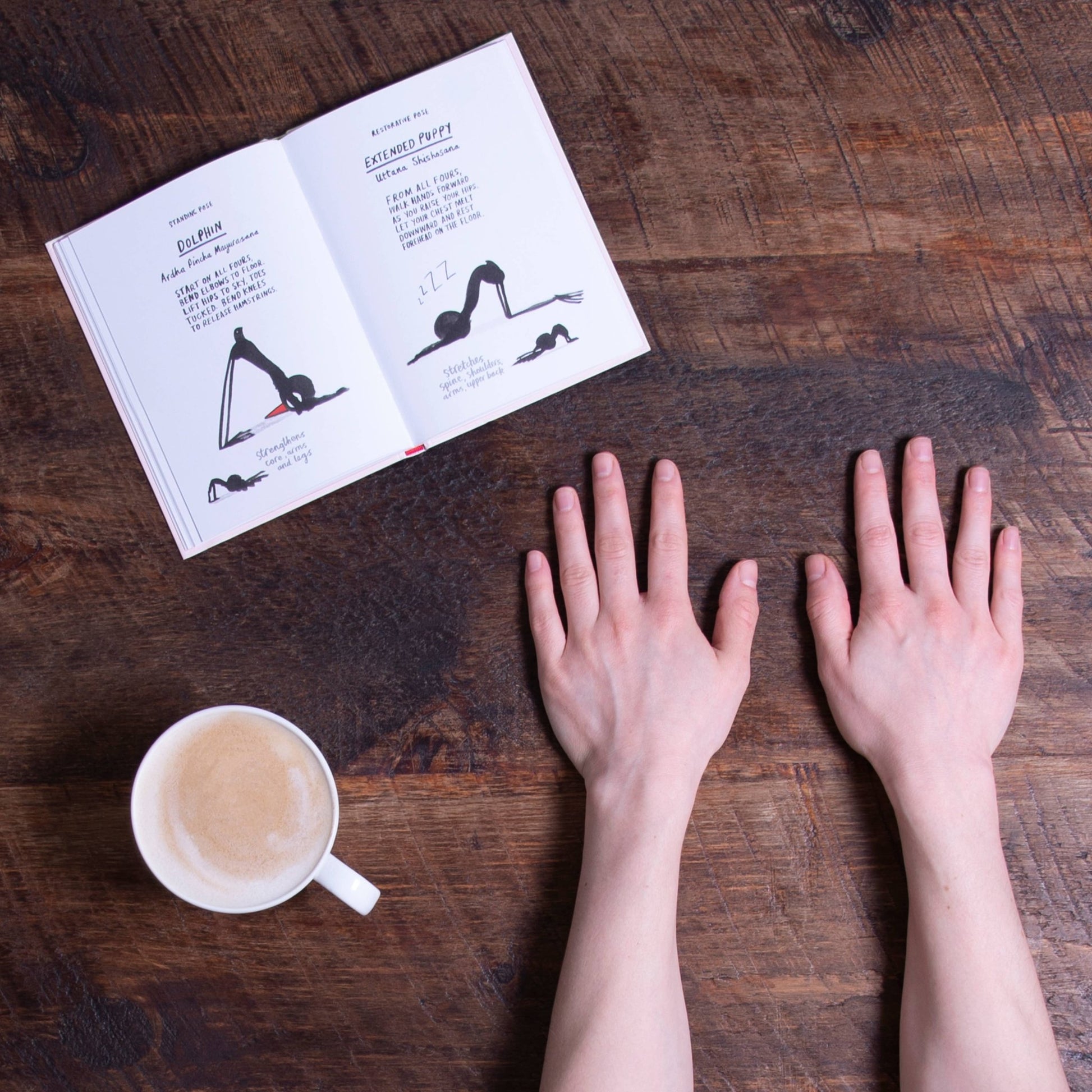 Yoga for Stiff Birds - Perrymans Books & Gifts