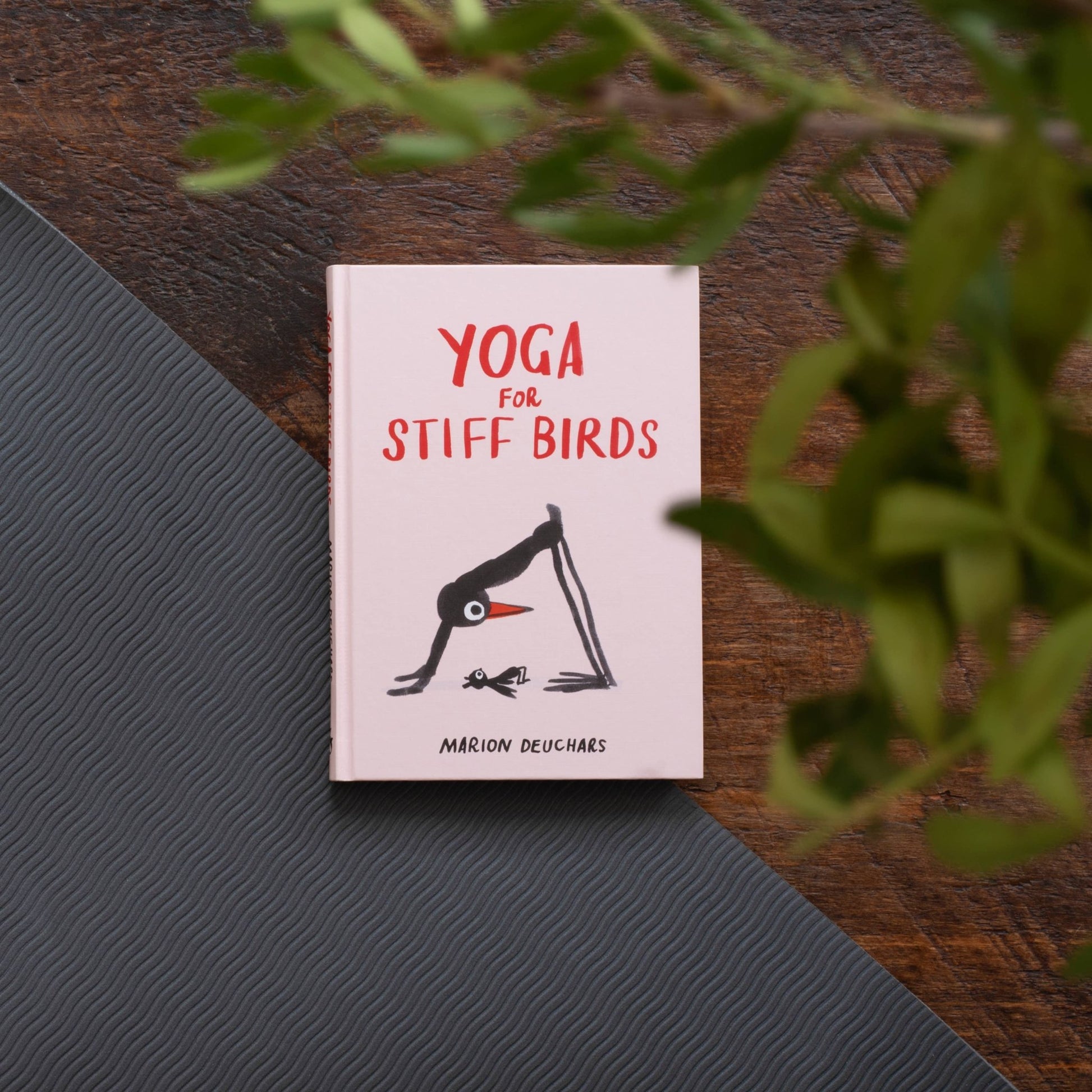 Yoga for Stiff Birds - Perrymans Books & Gifts